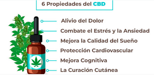 Beneficios del CBD para la piel